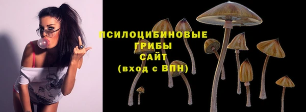 MDMA Няндома