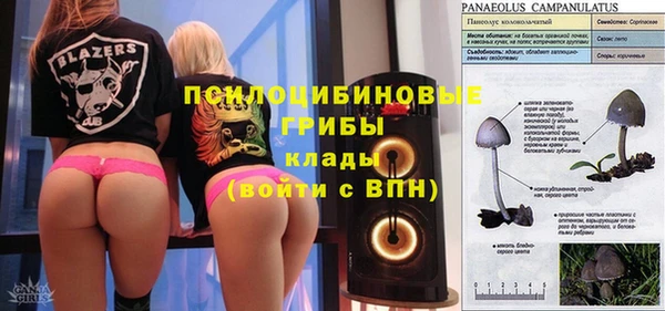 ГАЛЛЮЦИНОГЕННЫЕ ГРИБЫ Нягань