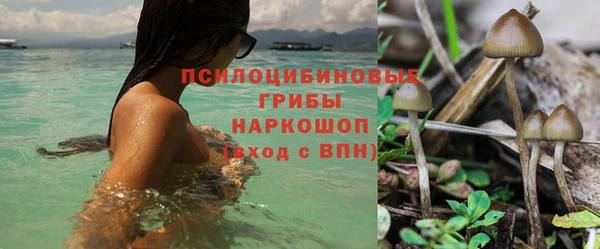 ГАЛЛЮЦИНОГЕННЫЕ ГРИБЫ Нягань